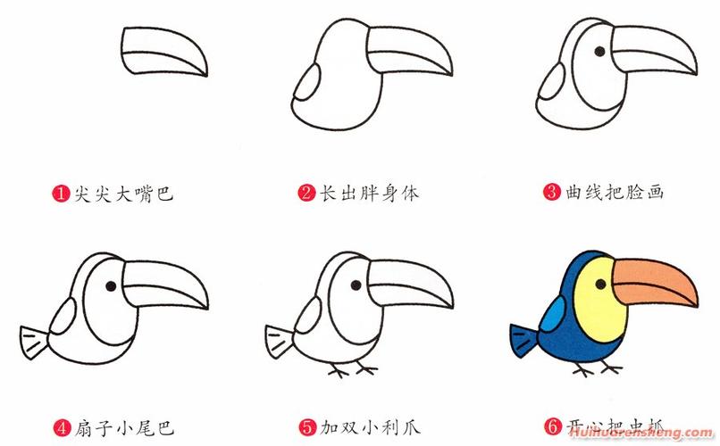 简笔画巨嘴鸟分步骤详解彩色巨嘴鸟简笔画法