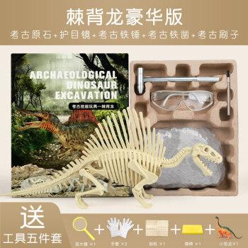 恐龙化石骨架模型儿童手工diy制作挖宝石宝藏蛋男孩考古挖掘玩具 棘背