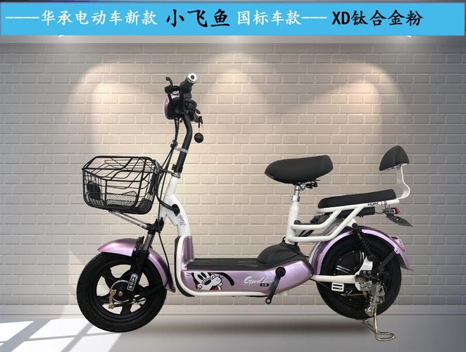 华承国标电动车小飞鱼