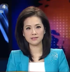 cctv4这个主持人是谁?