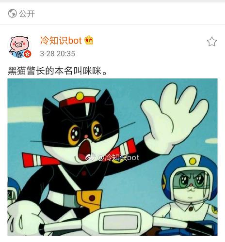 真没想到,黑猫警长的本名居然叫做咪咪?