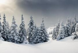 冰天雪地唯美好看的雪中美景唯美图集桌面壁纸下载第二辑