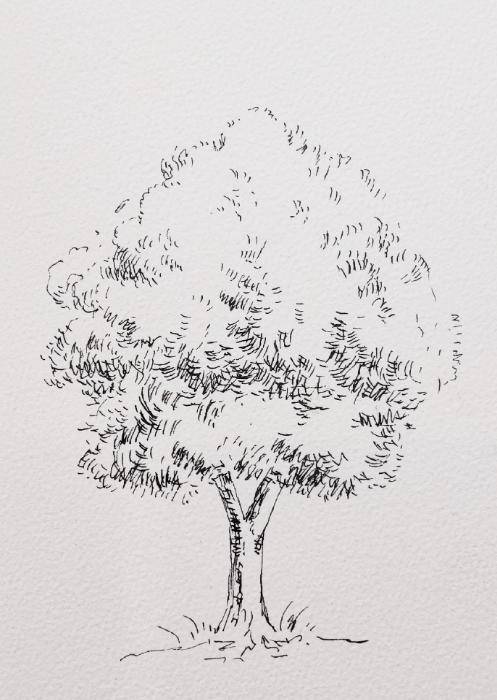 钢笔线稿手绘,不同的树的画法,拿去学习吧