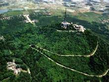 合肥大蜀山景区指南