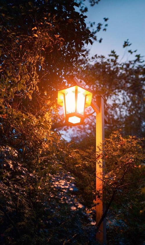 杨秀华:初秋夜雨