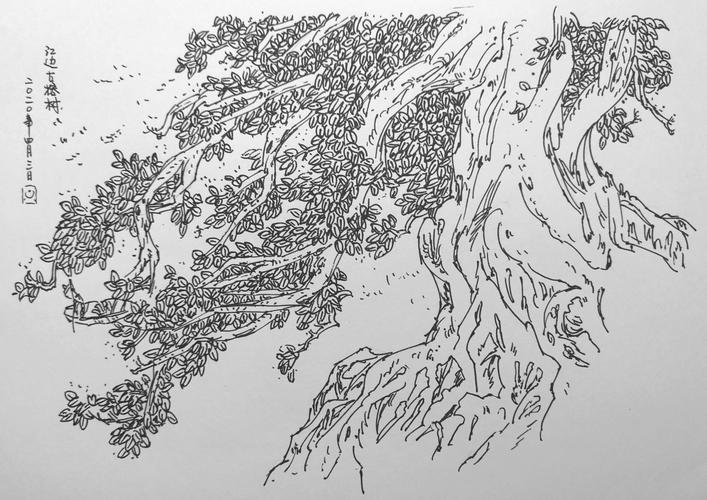 6)黄艾《水性笔风景速写》临摹2(2020.3-2020.12)