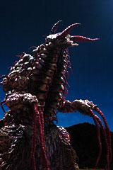 佩德隆,液态异生兽"佩德隆" 喜欢酒精的异生兽,软体动物定形合成的