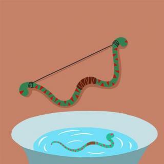 杯弓蛇影手抄报图片