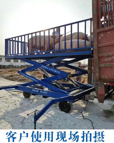 移动式卸猪台卖猪上猪 装猪升降机 厂家直销养殖场装猪车