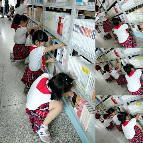 神兴小学一二中队-向阳小队河北化工医药学院图书馆整理图书记