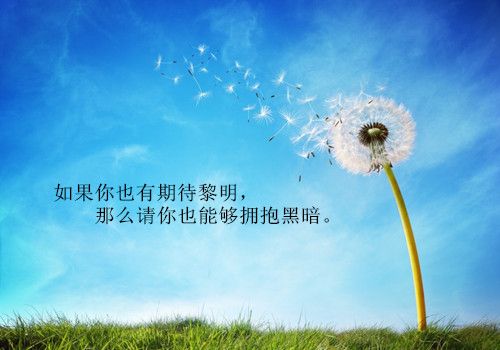清新意境蒲公英励志图片_向往自由的生活