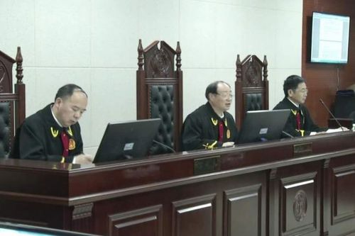 舒城舒城县人民法院开庭审理方林生等19人涉黑案件