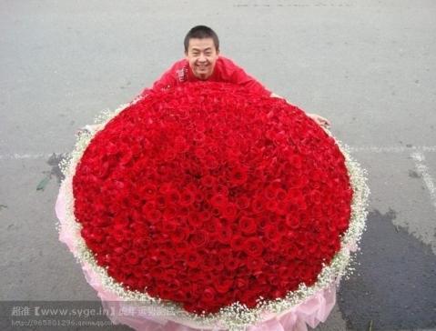 鲜花红玫瑰999朵生日礼品求婚道歉圣诞情人节郑州三环内免配送费_7折