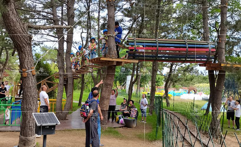 适合丛林冒险的游乐设施,有哪些必备的特质?