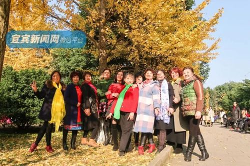 宜宾城区这些地方都黄了!好多人都在