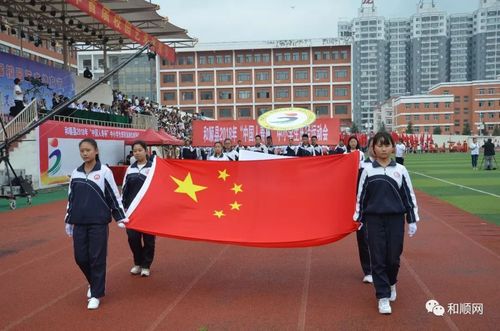 松烟镇中心校,青城镇九年一贯制学校,平松乡九年一贯制学校,松烟中学