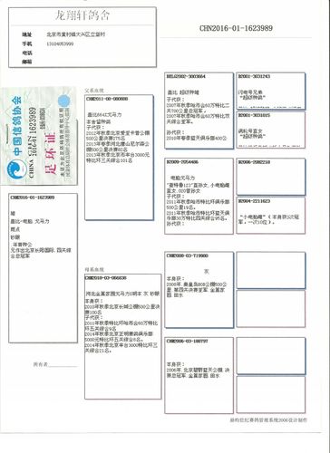 龙翔轩在线拍鸽