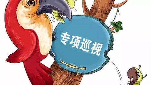 廊坊市巡视巡察整改工作监督举报方式现向大家公布!