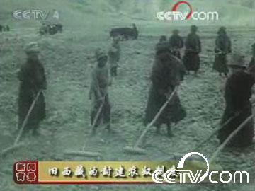 [视频]从世界历史看农奴制的消亡