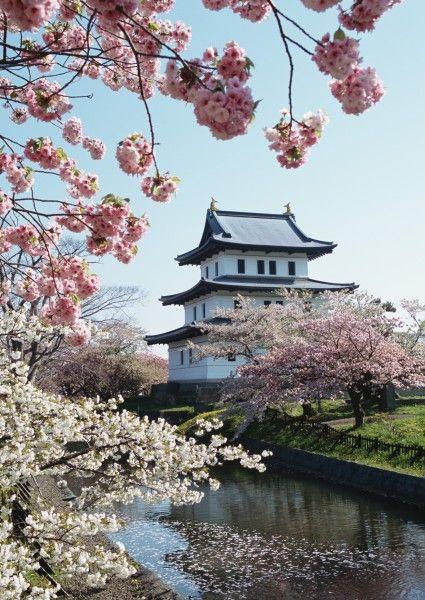 北海道春季美景图片