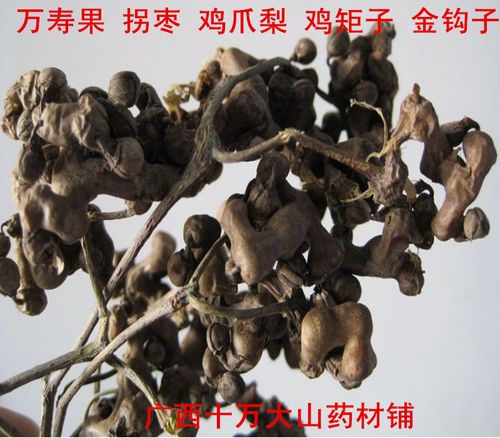 野生中药材万寿果 拐枣 鸡爪梨 鸡矩子 金钩子 鸡爪果