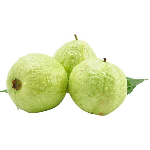 西沛生鲜番石榴奶油白心芭乐3斤福建新鲜水果时令水果果园现摘清甜