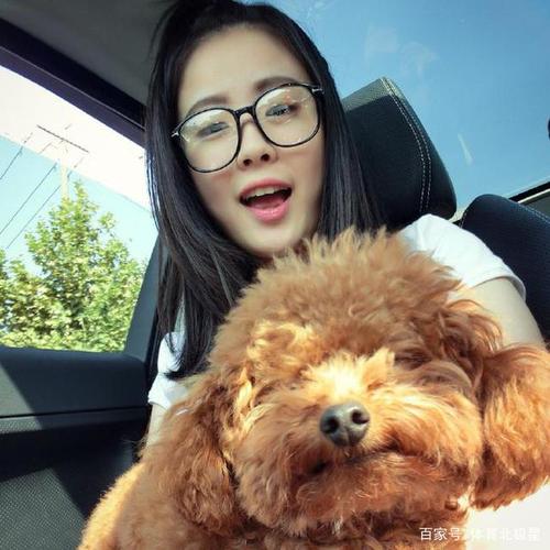 王燊超和妻子相遇浪漫至极,一见钟情互相认定,如今已结婚6年