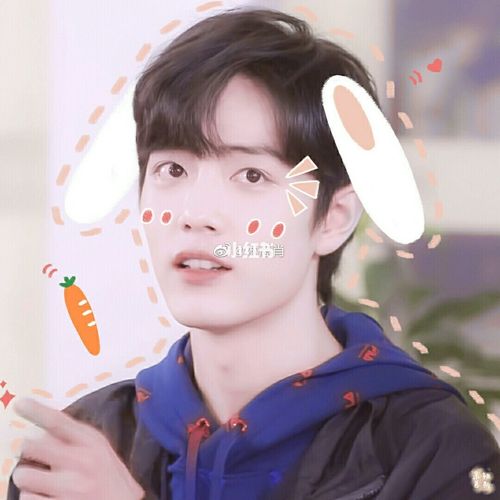 肖战头像_肖战_影视_明星娱乐资讯