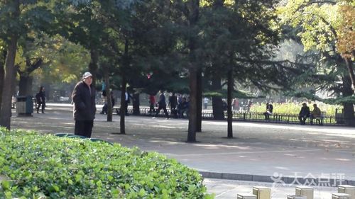 东单公园-图片-北京周边游-大众点评网