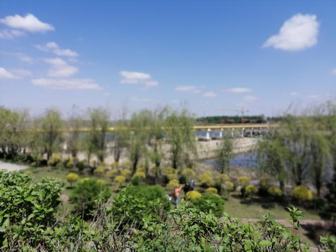 大清河的美景
