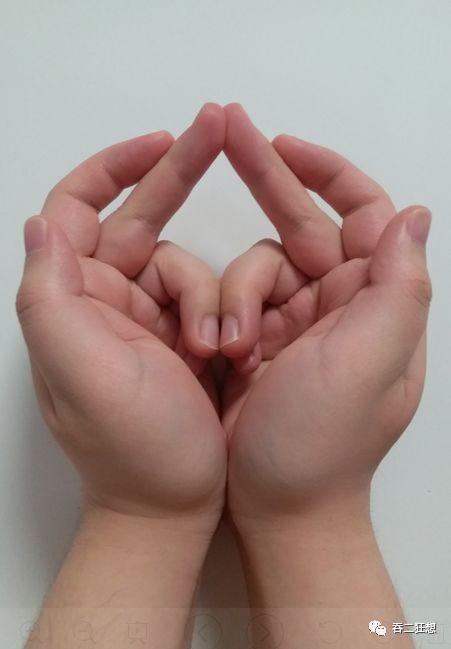 转载:龙树菩萨"不老咒"辨讹