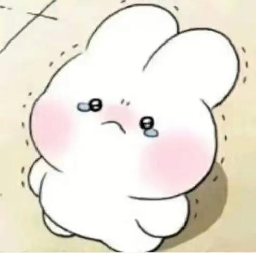 想问一下大家,这只兔兔叫什么名字呀?想拥有更多关于它的表情包