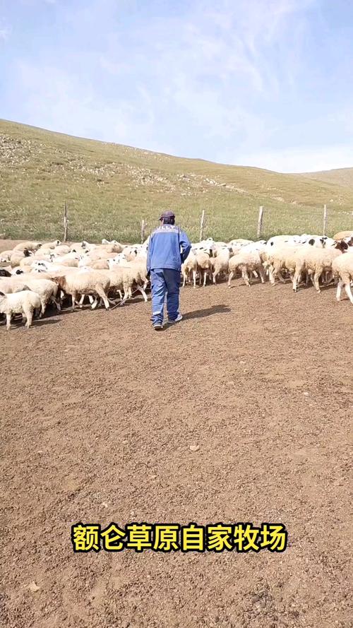 额仑草原自家牧场霍林郭勒店