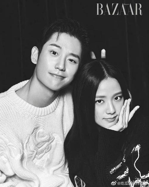 丁海寅智秀雪滴花芭莎互动问答