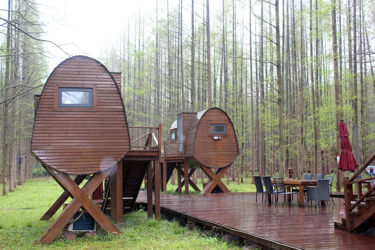 黄海森林公园-森林木屋_江苏自驾游论坛_123活动网