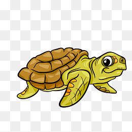"乌龟卡通矢量图"