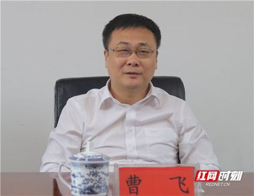 桑植县委书记曹飞到桥自弯镇调研