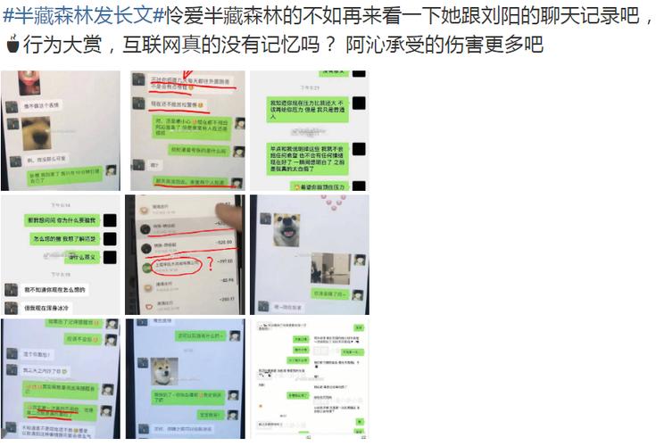 网友扒出半藏森林整容前照片,看清原来长相后:和刘阳挺配的!