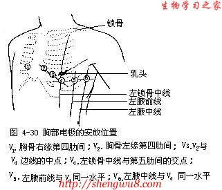 心电图导联位置