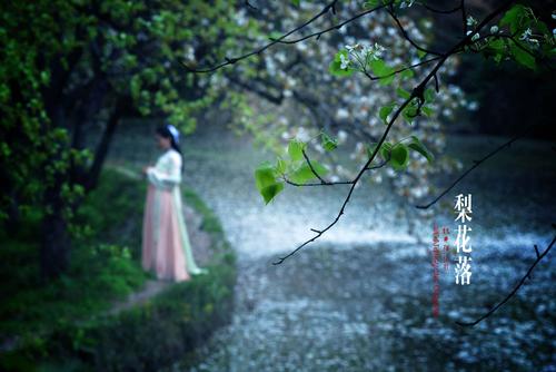 梨花落,春入泥