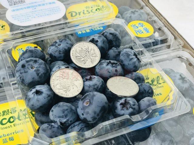萌果果鲜果园 云南怡颗莓蓝莓王12盒脆甜新鲜当季限量l25旗舰店