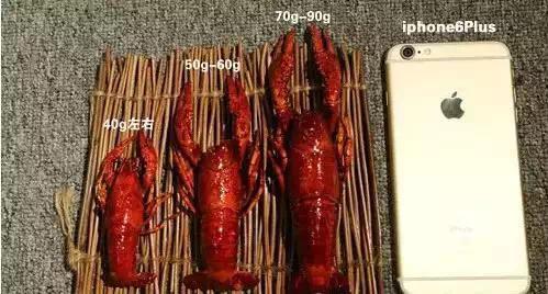 小龙虾的正确吃法8招式 小龙虾怎么吃图解