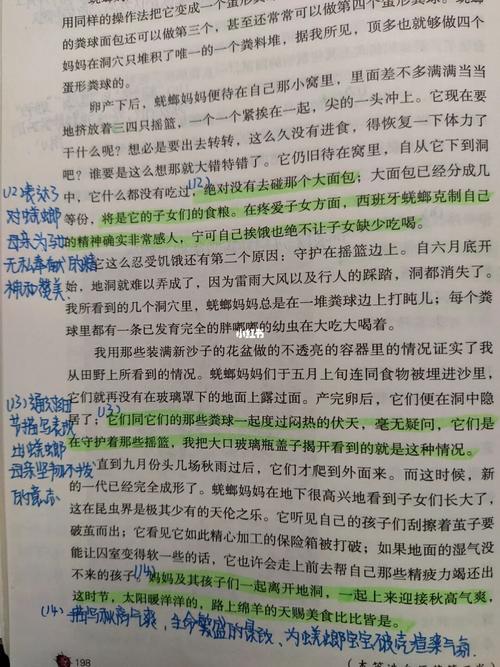 《西班牙蜣螂》读书笔记_面包_读书笔记_工作_新郎_昆虫记读书笔记