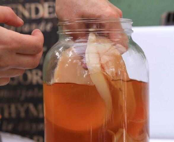 红茶菌的功效作用与副作用