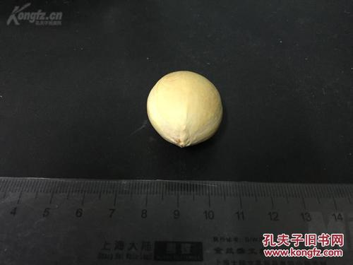 稀罕的大尺寸铁树籽2,世上没有人玩的东西,你是第一个玩的人,尺寸:3.
