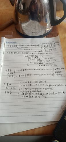 衔接培训学员手写计划书评选