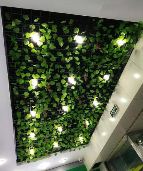 花藤绿叶吊顶装饰仿真葡萄架假树叶水果造型干树枝装饰树藤条枯.