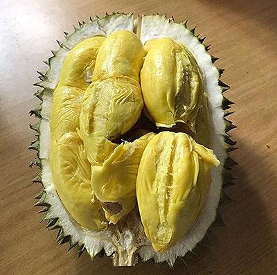 青岛猫山王榴莲哪家性价比高