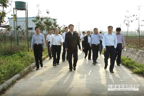 宿迁市委常委田洪秘书长,副市长秦正宝一行来我院六合基地考察交流