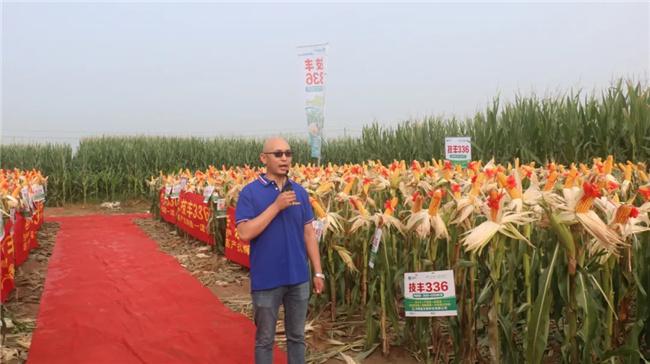 富吉泰519,富尔5152,郑单1102等品种的大田表现;营销中心副总经理